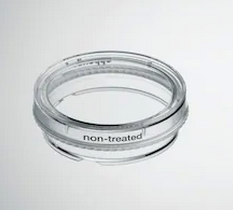 德國(guó)艾本德(Eppendorf)Cell Culture Dishes, 35 mm, 無(wú)菌、無(wú)熱原，無(wú) RNase和DNase，無(wú)人類和細(xì)菌DNA。無(wú)細(xì)胞毒素, 未處理, 3.0mL, 300個(gè)