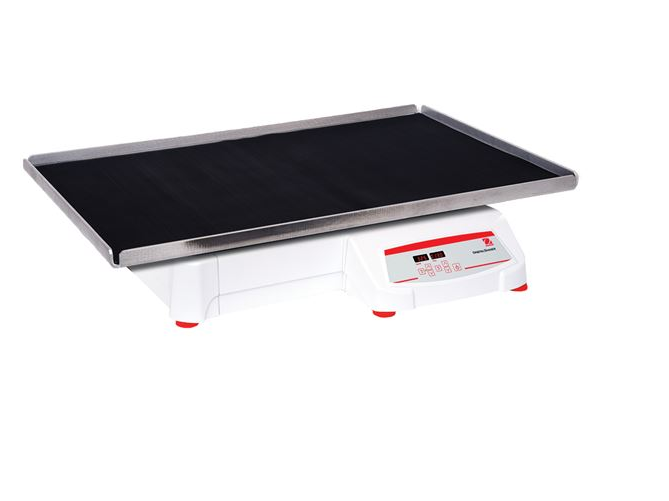 美國(guó)奧豪斯，OHAUS，脫色搖床，回旋振蕩器，圓周振蕩器，大負(fù)載圓周式搖床，SHHD6825DG