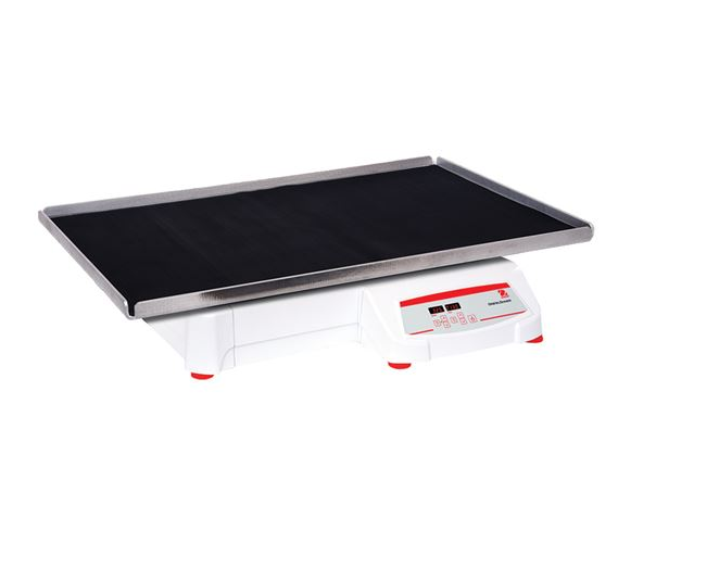 美國(guó)奧豪斯，OHAUS，脫色搖床，回旋振蕩器，圓周振蕩器，大負(fù)載圓周式搖床，SHHD6850DG